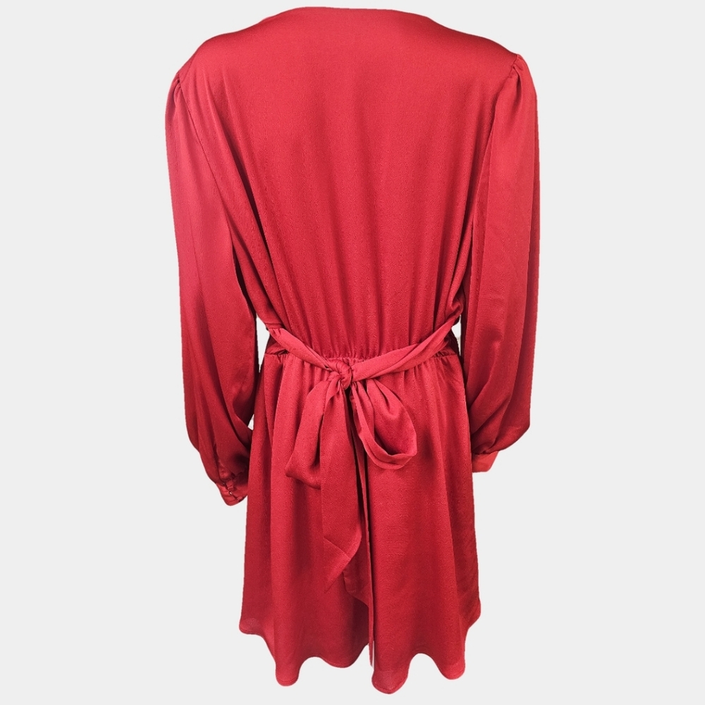 Express Red Mini Dress - Picture 4 of 13